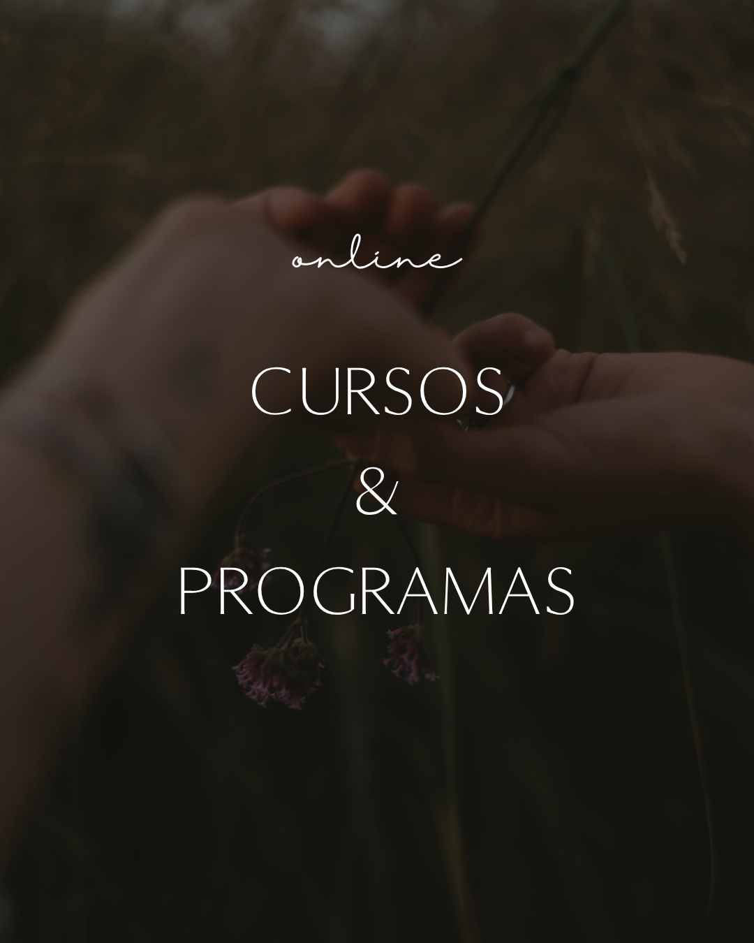Cursos y Programas Online